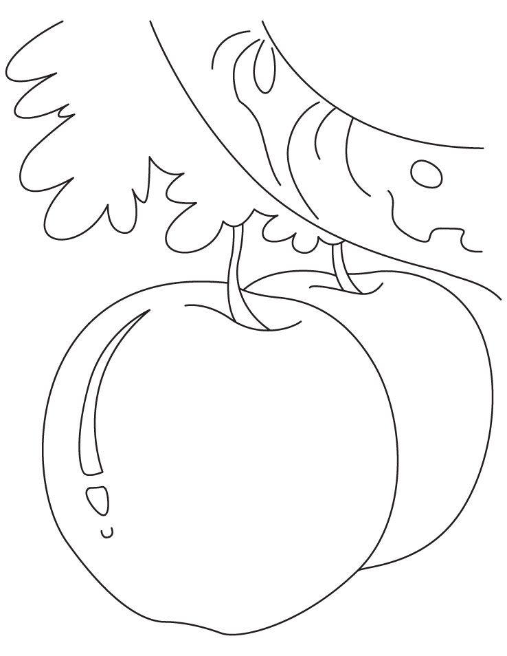 Apple Coloring Picture for kids