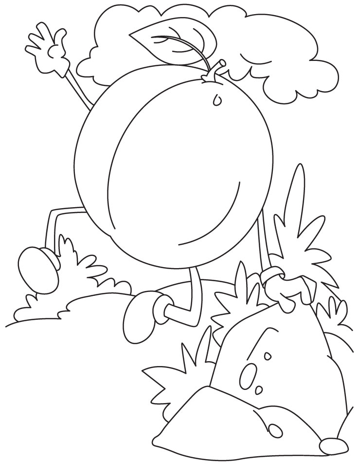 Apricot Coloring Page