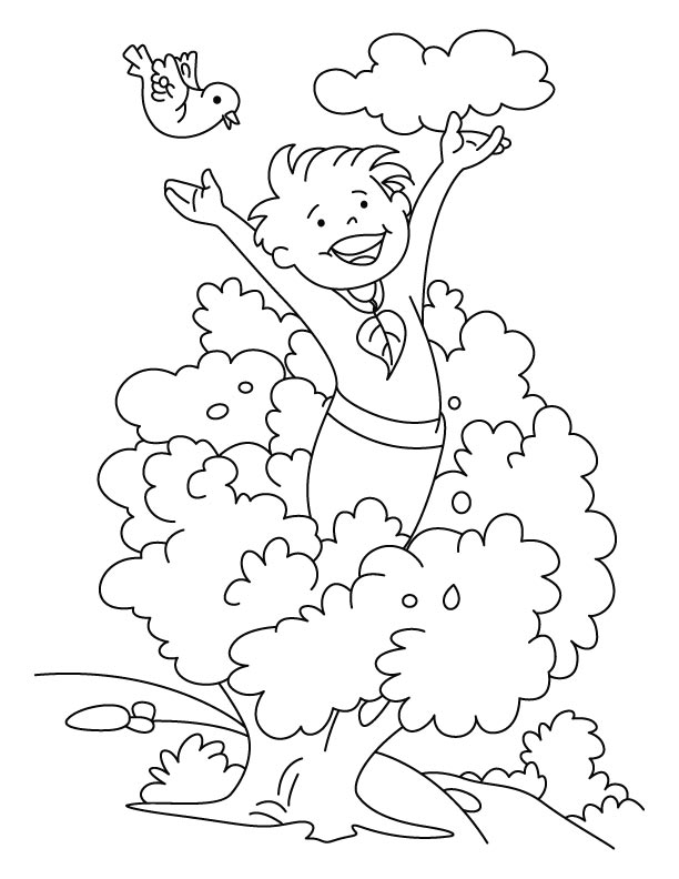 Clean environment to play coloring pages