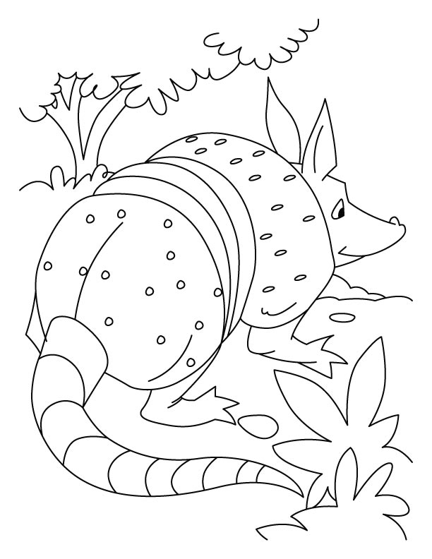 Armadillo playing role of rat coloring pages