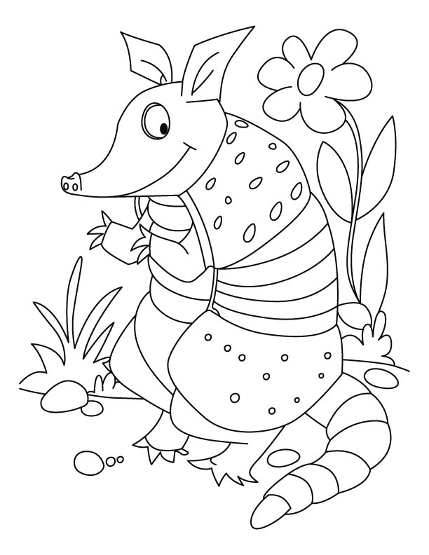 The chuimui armadillo coloring pages