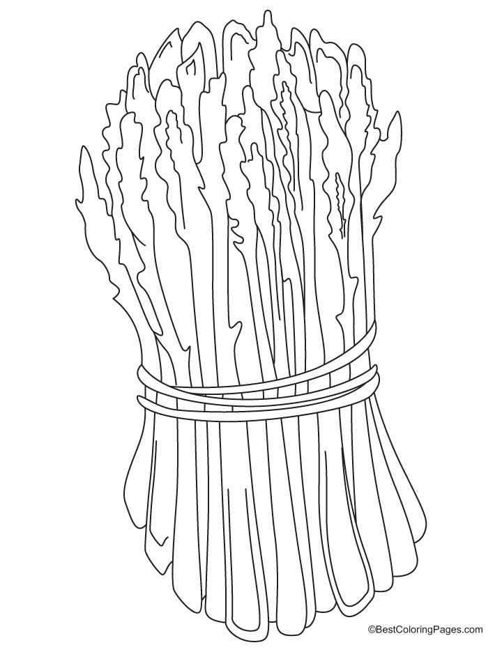 Green asparagus coloring pages