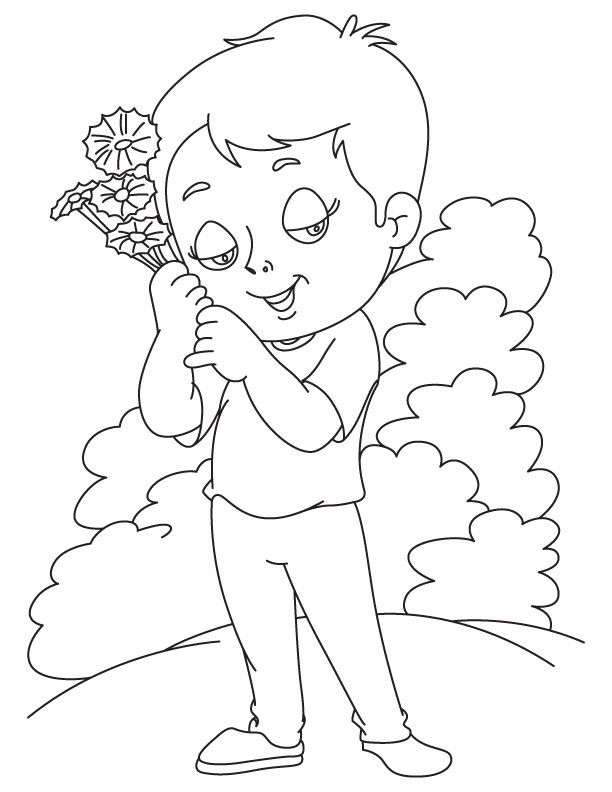 Bachelors button coloring page