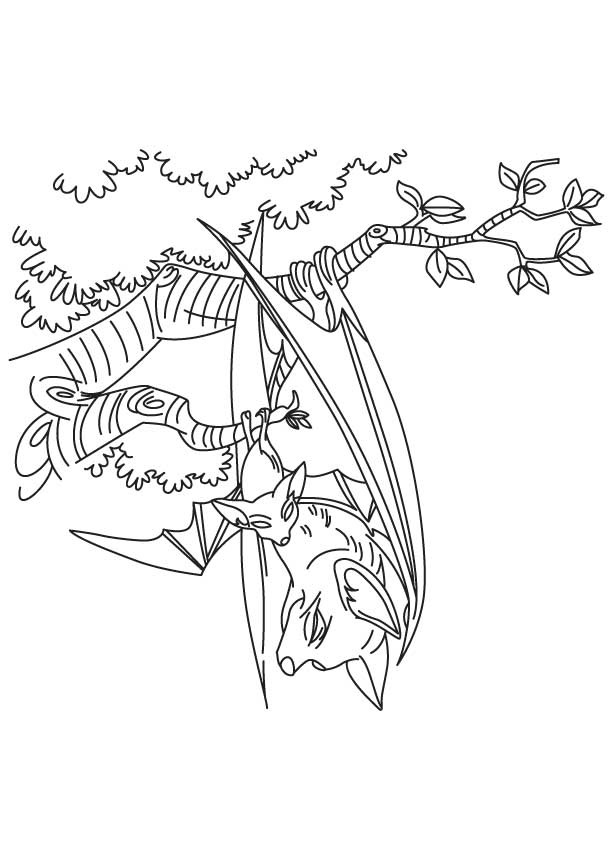 Bat hanging on tree coloring page