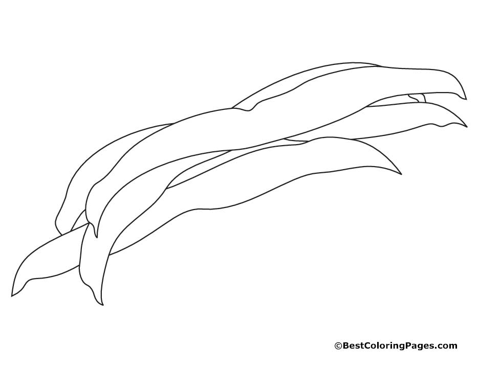 Beans coloring pages