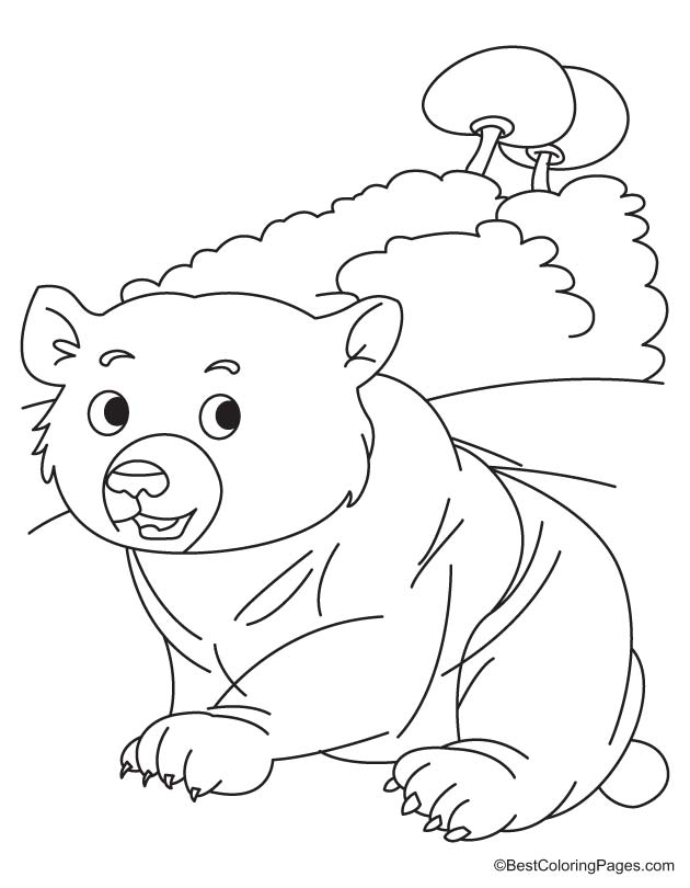 Bear cub coloring page