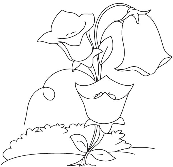Bell shape flower coloring page