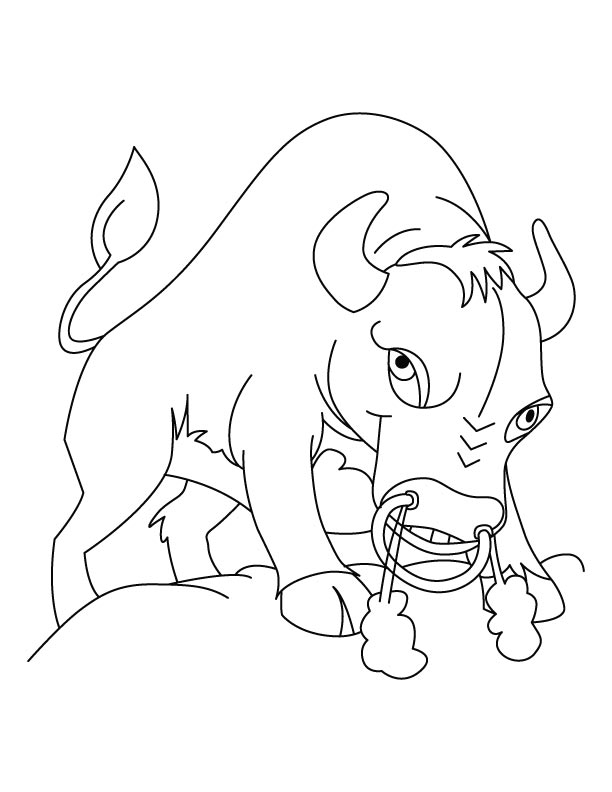 Furious Bison coloring pages