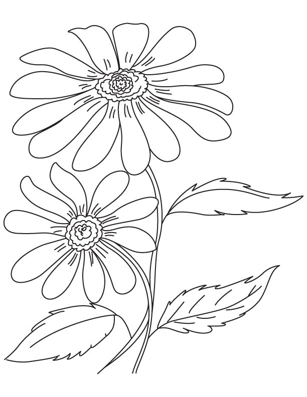 Black eyed flower coloring page
