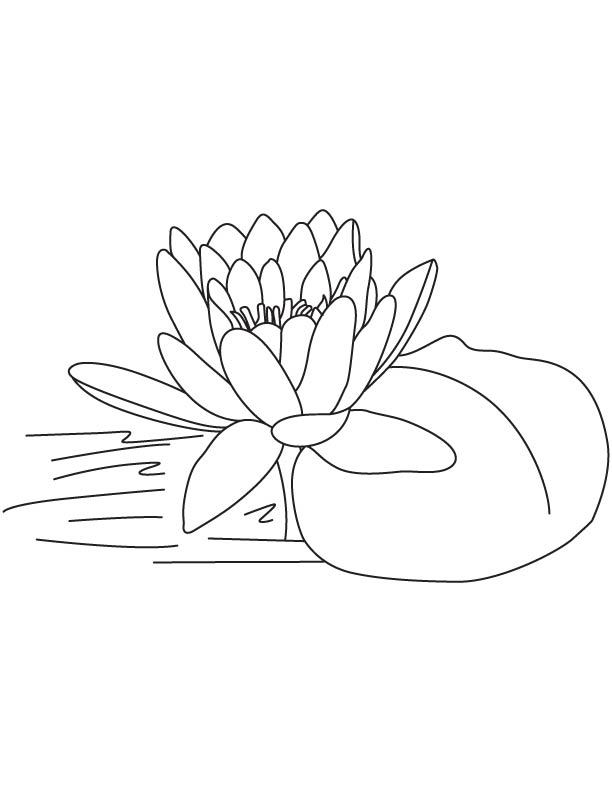 Blooming lotus coloring page