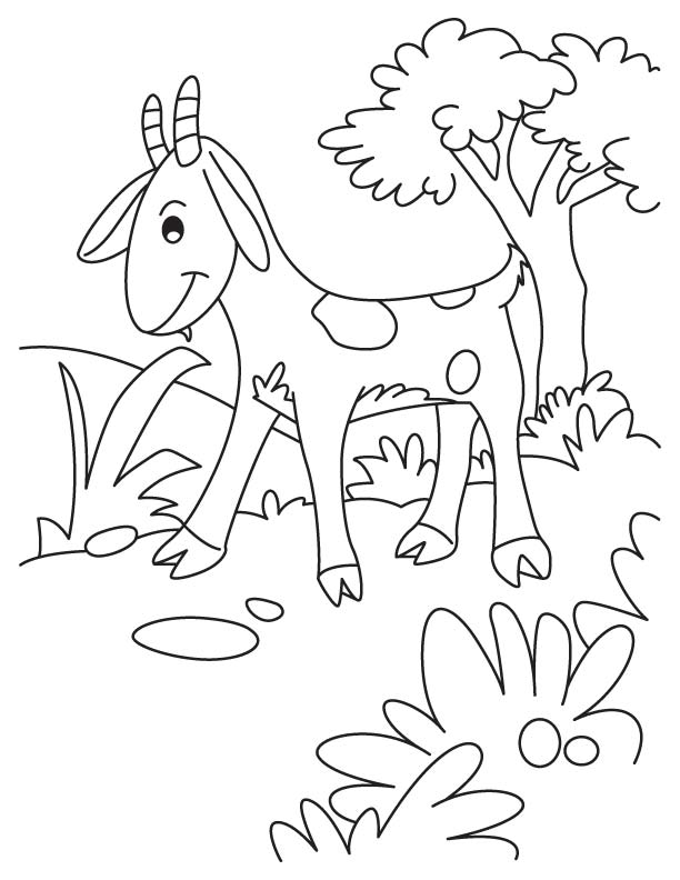 Blushing goat coloring page