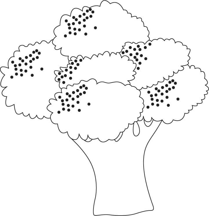 Growing broccoli coloring pages