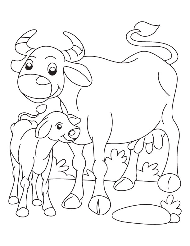 Buffalo and Calf coloring page