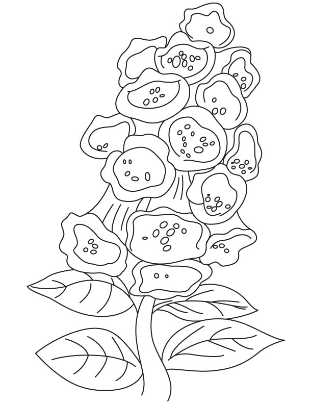 Bunch of bellflower coloring page