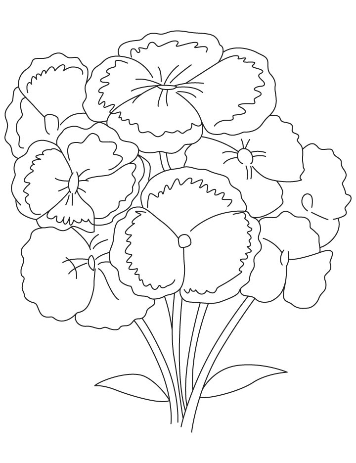 Bunch of carnation coloring page