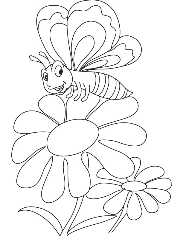 Butterfly with daisy coloring page