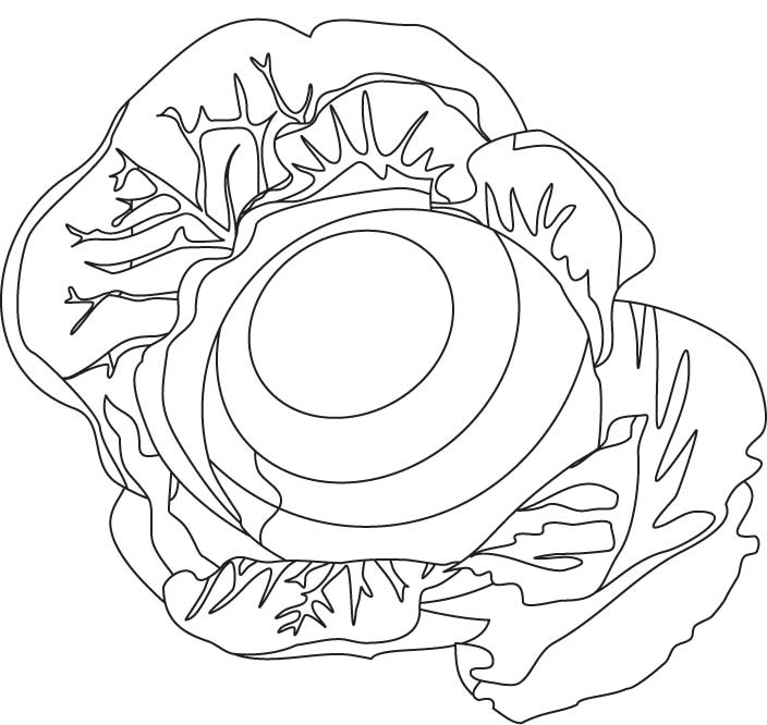 Cabbage patch coloring page