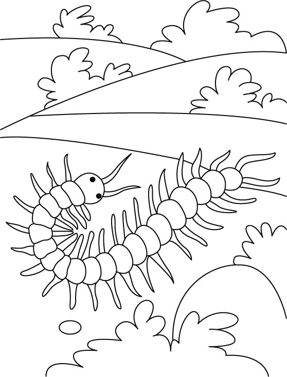 centipede on a field round coloring pages