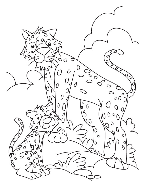 Cheetah and Cub coloring pages