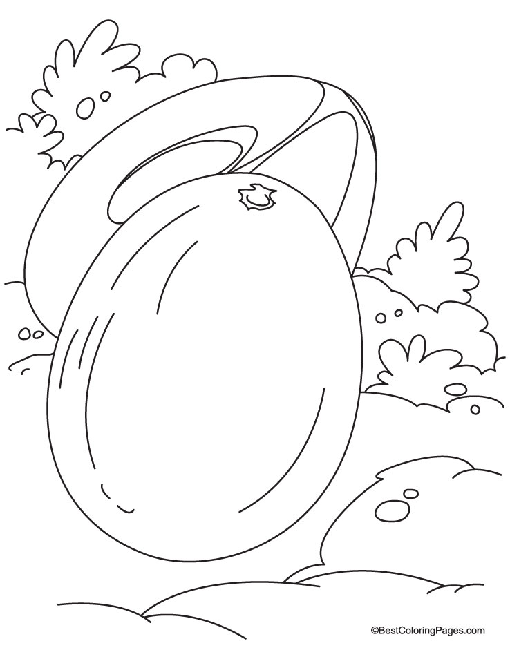 Chickoo and a half chickoo coloring pages
