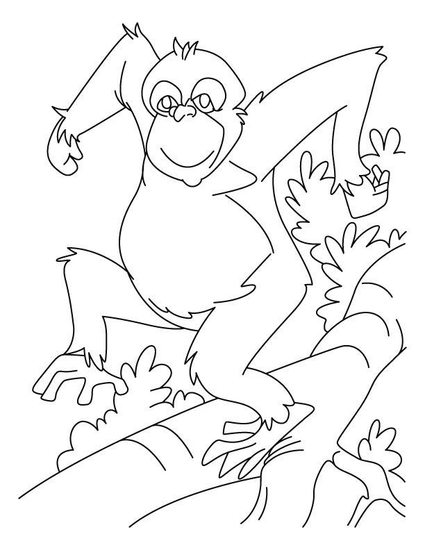 Dancing chimpanzee coloring pages