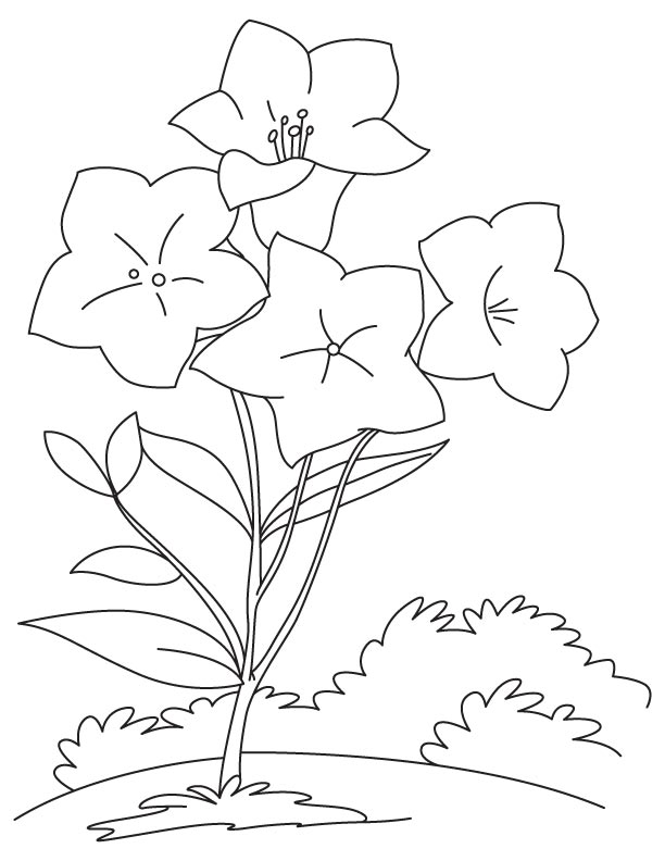 City of bellflower coloring page