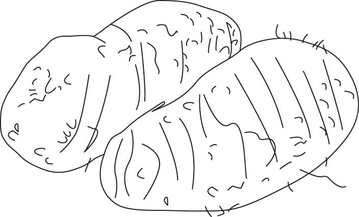 Colocasia coloring sheet