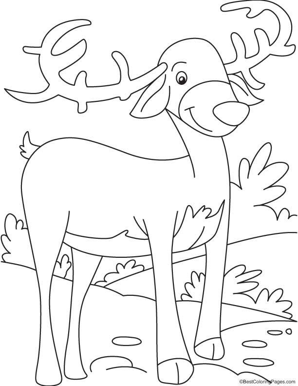 Consider reindeer coloring page