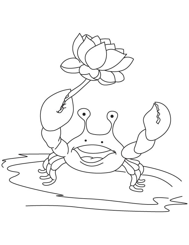 Crab got a lotus flower coloring page