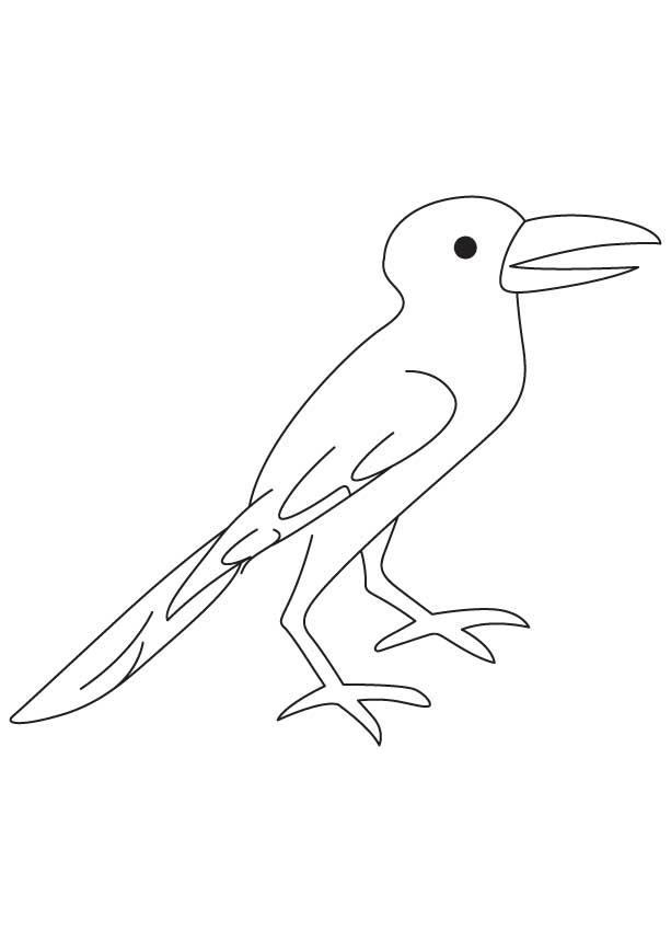 Crow coloring sheet