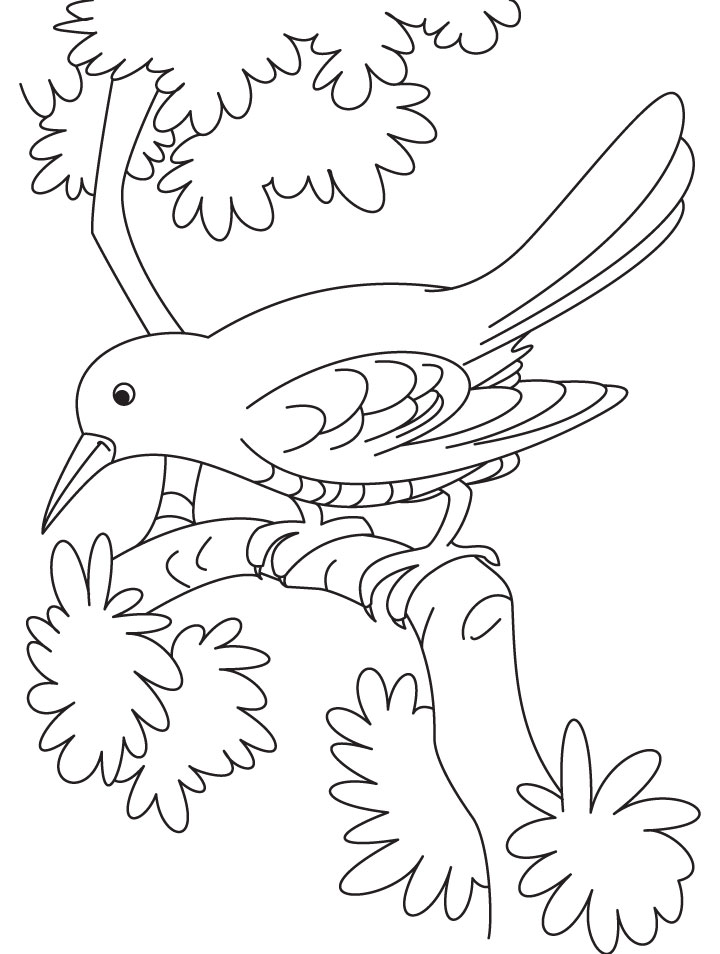 sad cuckoo bird sitting on a branch coloring page