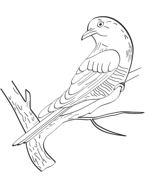Cuckoo looking backward coloring page