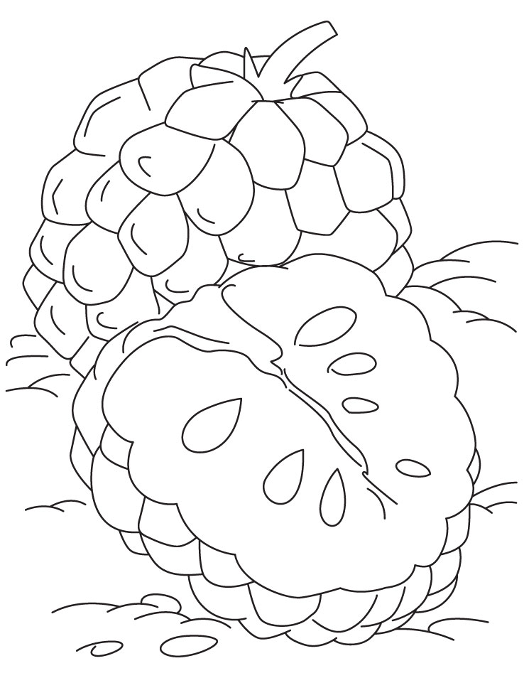 Tropical custard apple coloring pages