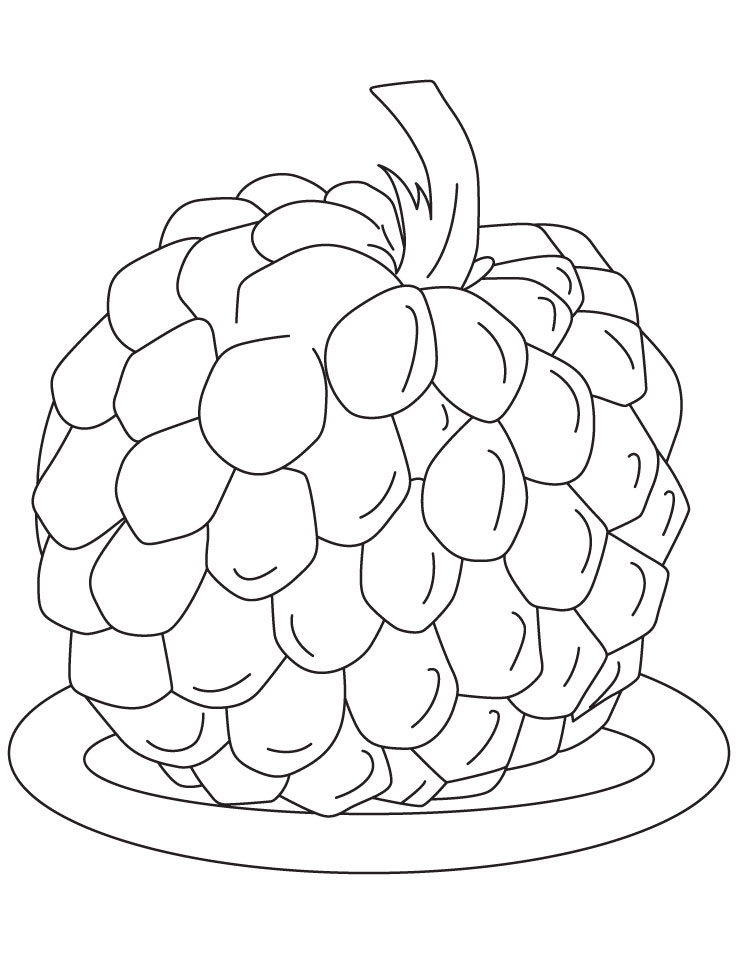 Sugar apple coloring pages