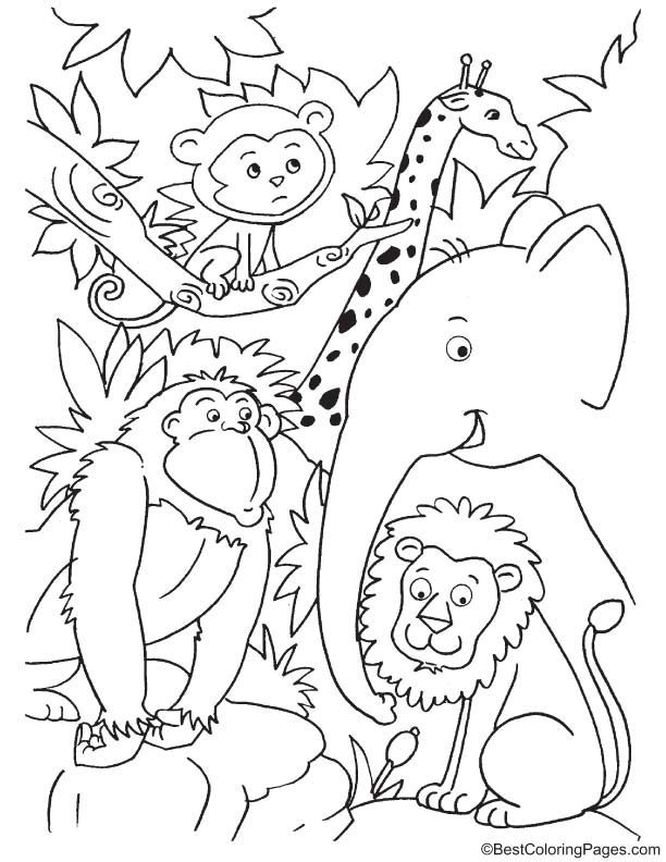 Cute animals in jungle coloring page