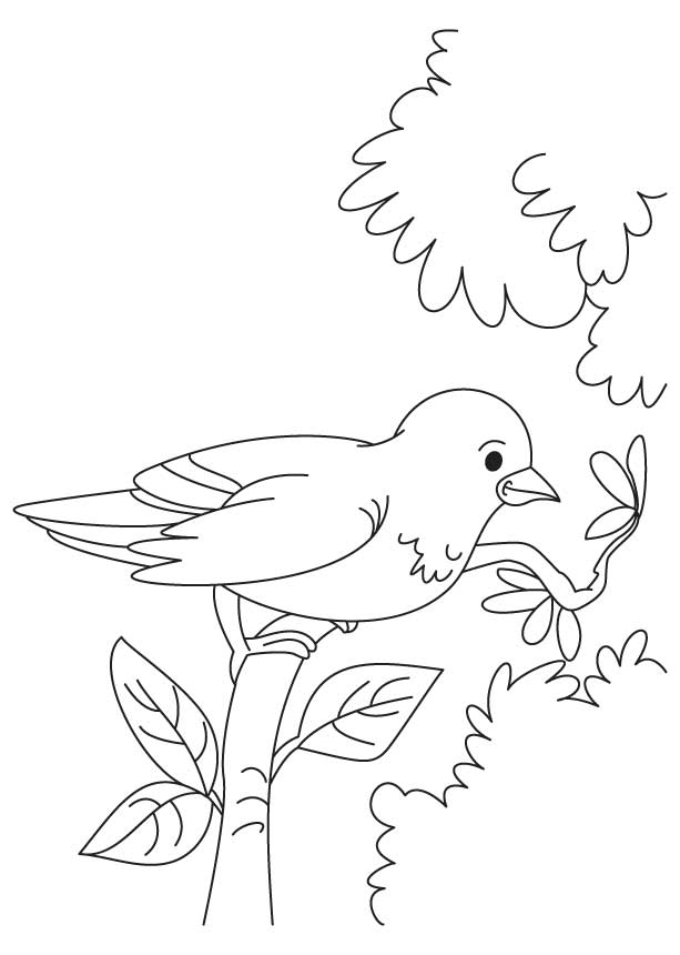Little sparrow coloring page