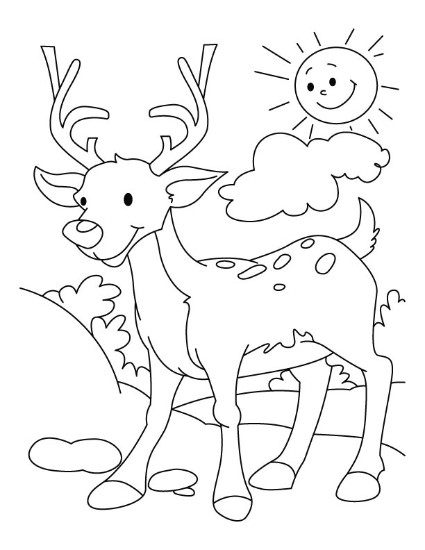 My deer coloring page