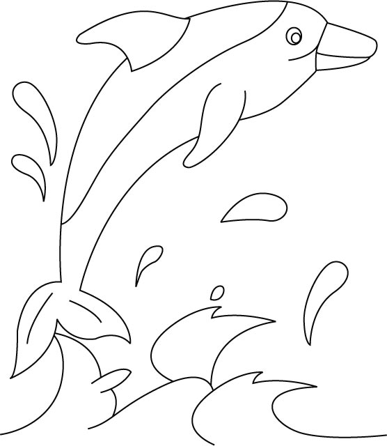 Daisy dolphin coloring pages