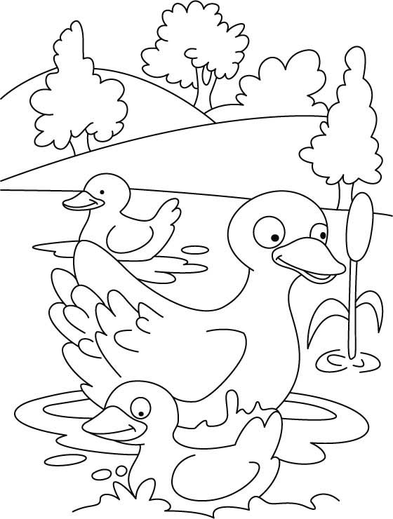 Duck and duckling coloring page
