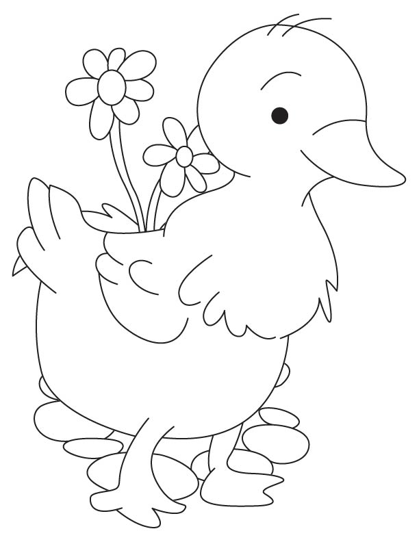 Duckling in the garden coloring page