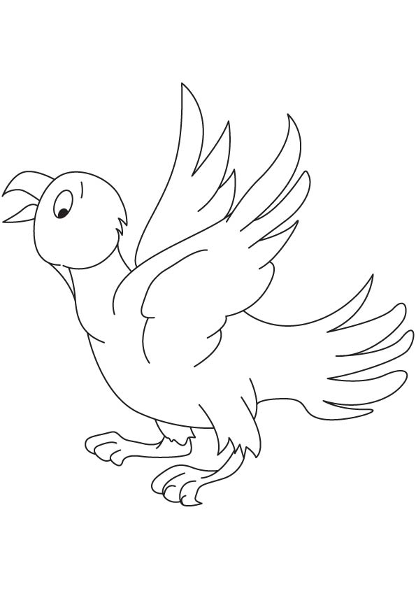 Eaglet coloring page