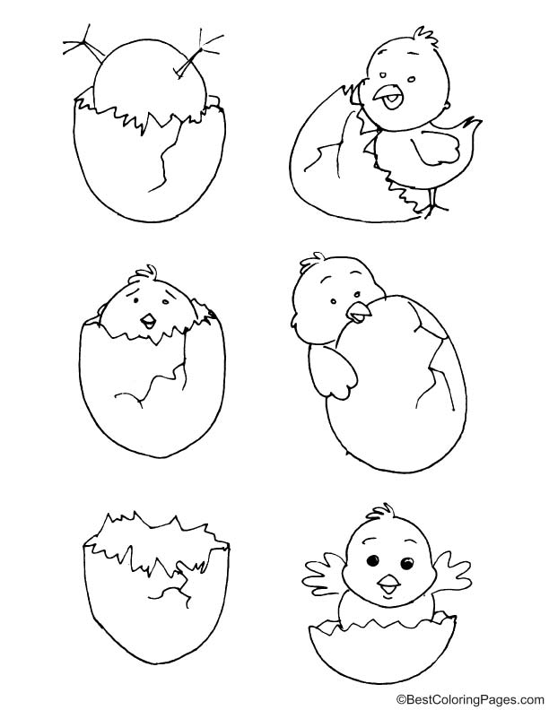 Easter chicks coloring page