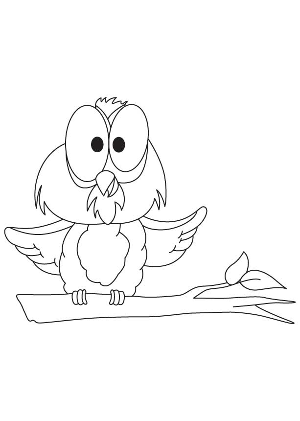 Educated owl coloring page