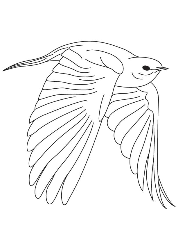 Fearless bluebird coloring page