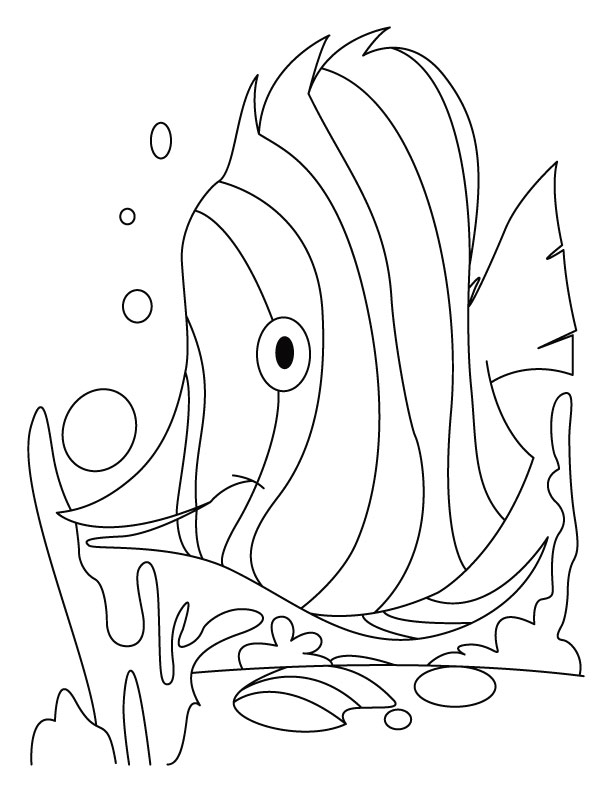 Fish dive coloring pages