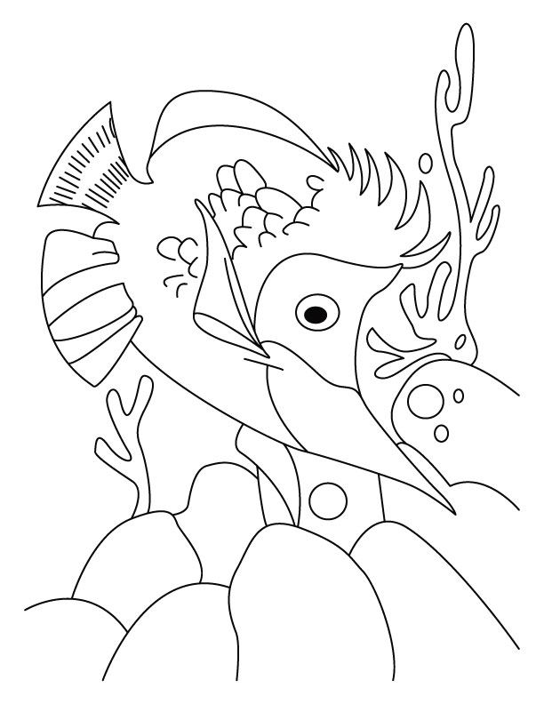 Fish-jalpari coloring page