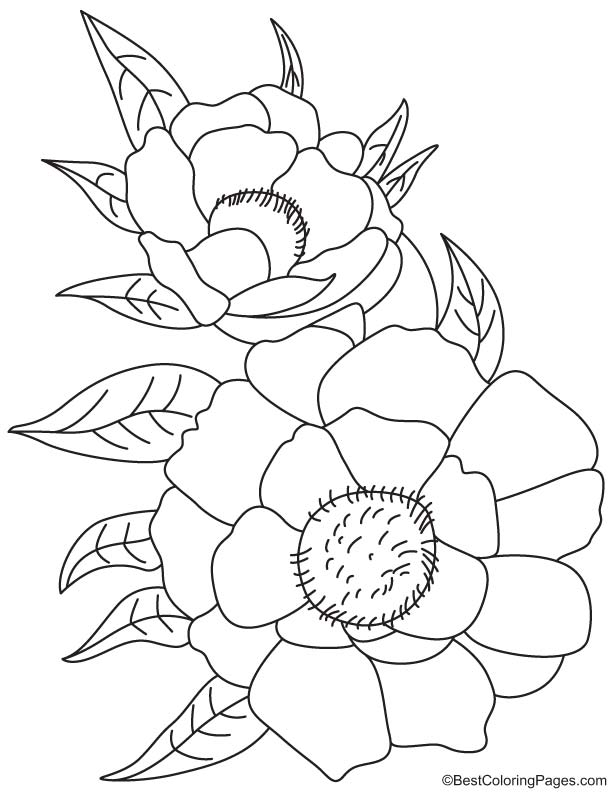 Flower of riches and honor coloring page
