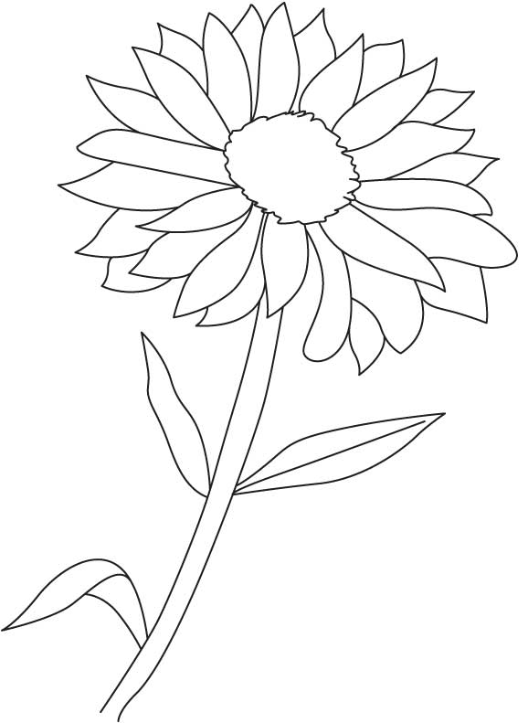 Flowering plant coloring page