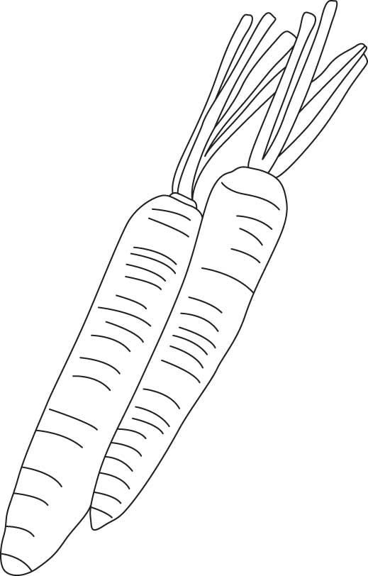 Fresh carrots coloring page