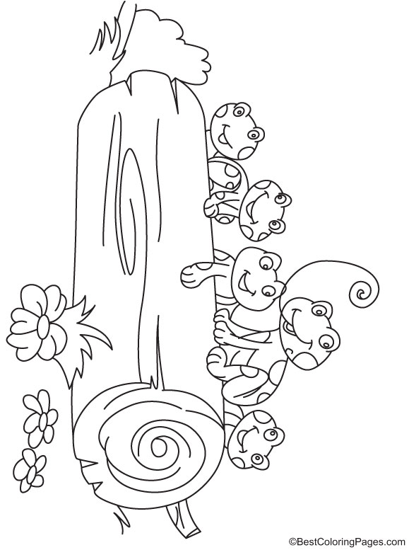 Frogs behind the log coloring page